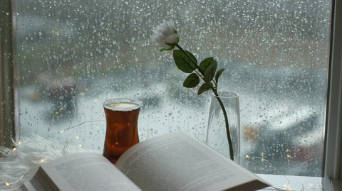 Reading