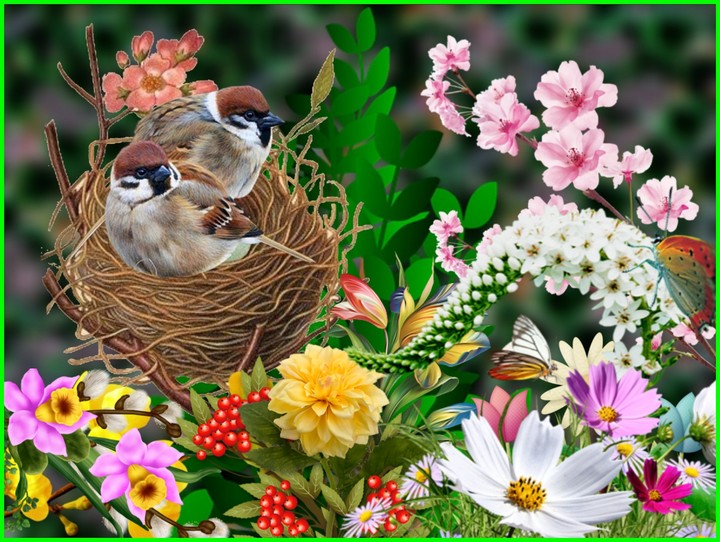 Natur im Garten