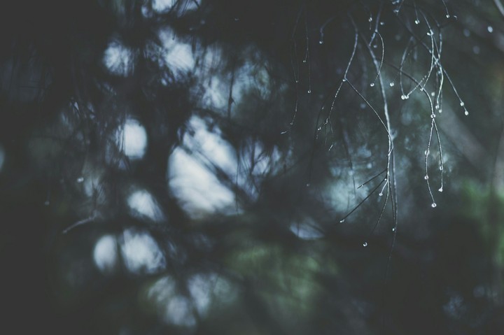 rain