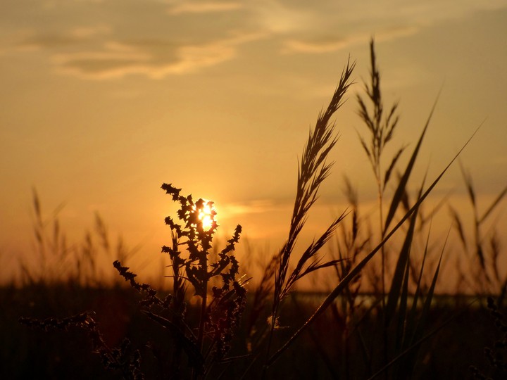 Sunrise in Öland