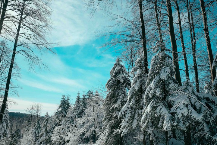 зима ❄️