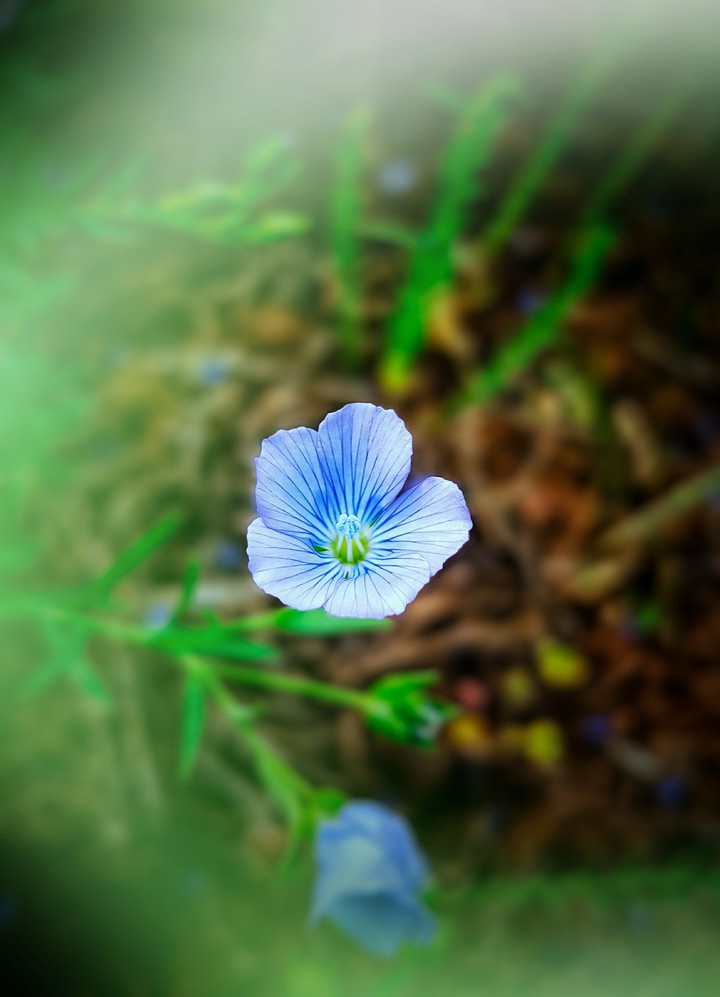 The blue core
