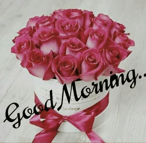 morning friend