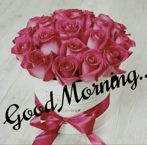 morning friend