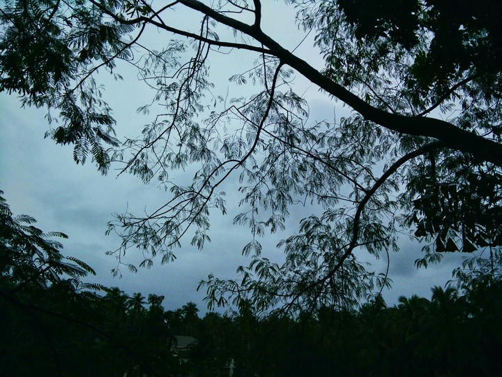 night