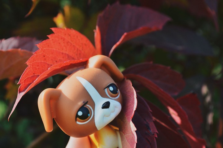 Littlest Pet Shop Autumn Nature