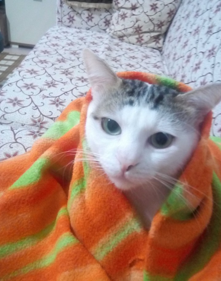 kar ☃ var üşüyorum