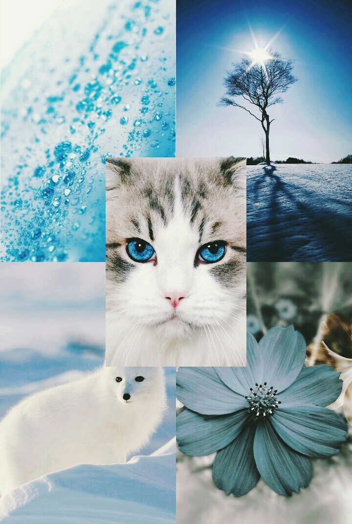 Winter...