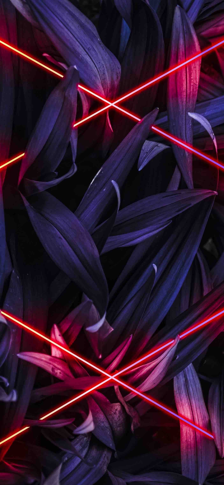 ⠀
