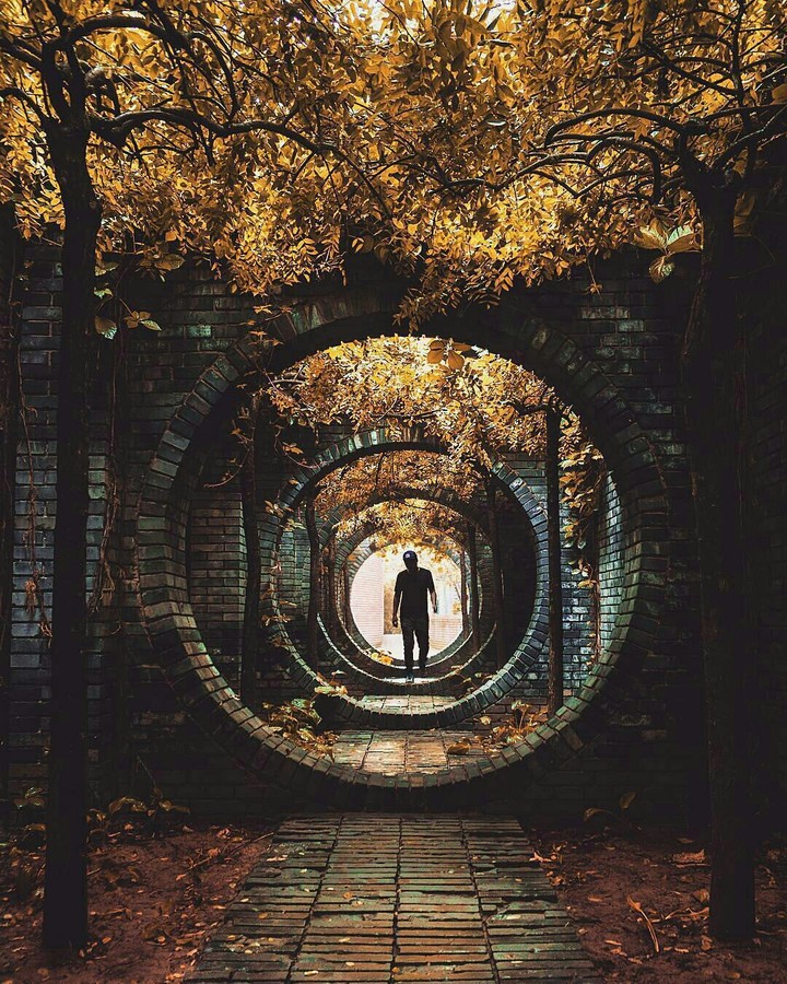 fall