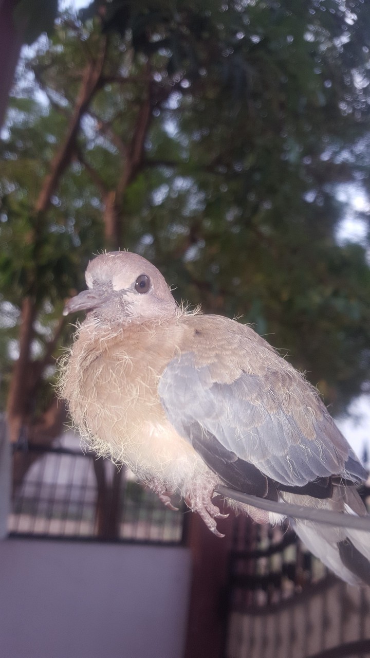 clicked bu Siddharth