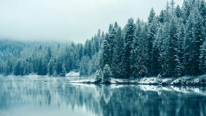 frozen land