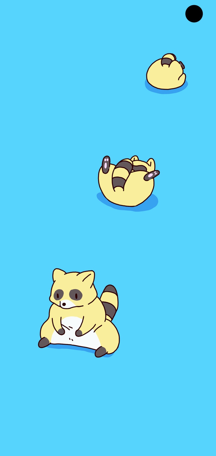 Raccoon