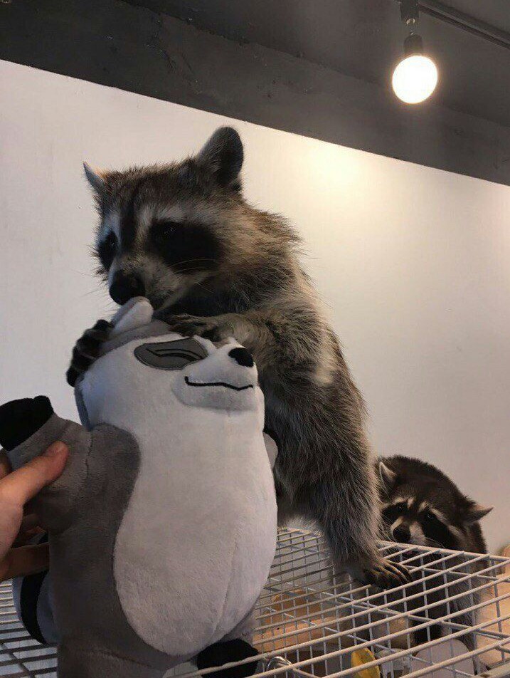 .