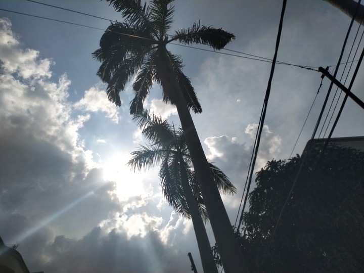 Look Above