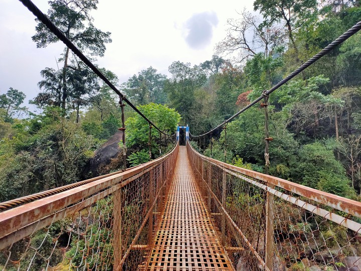 Bridge