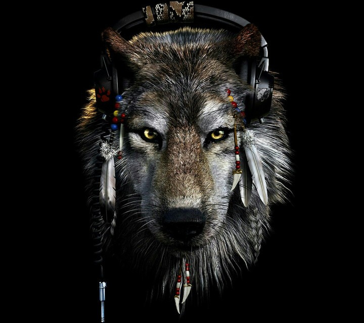 wolf