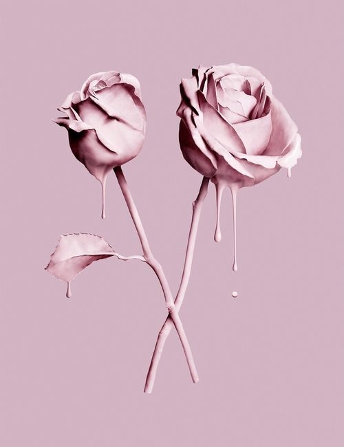 art Roses