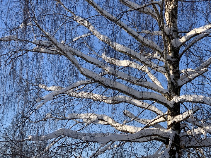 sun & snow