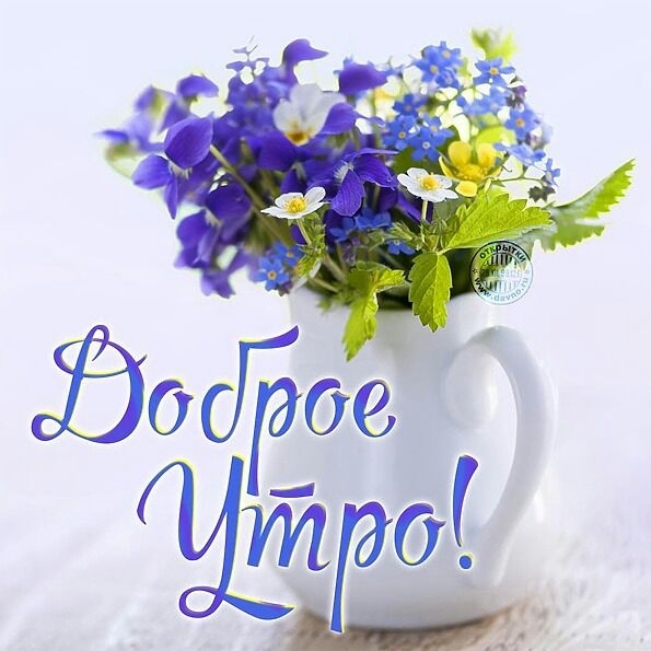 доброе утречко