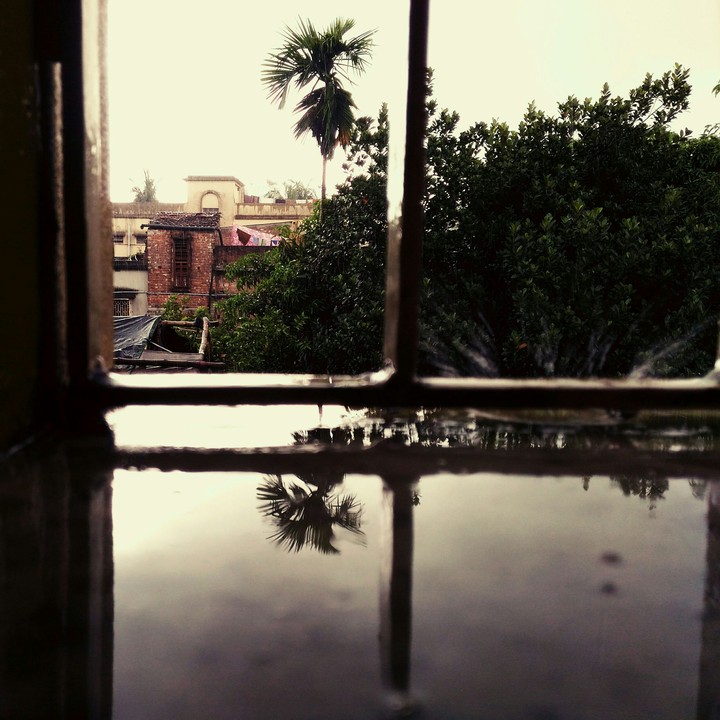 Rain