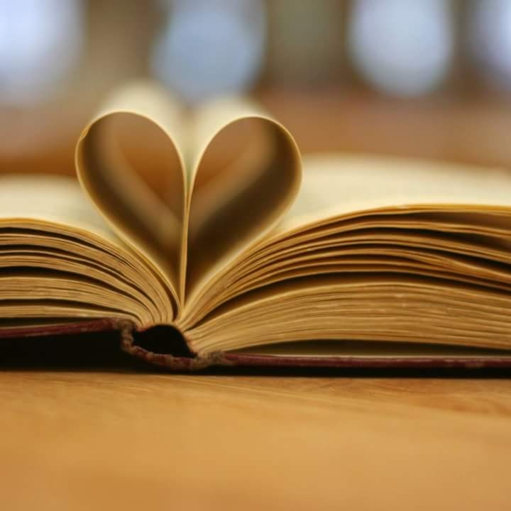 LOVE BOOK