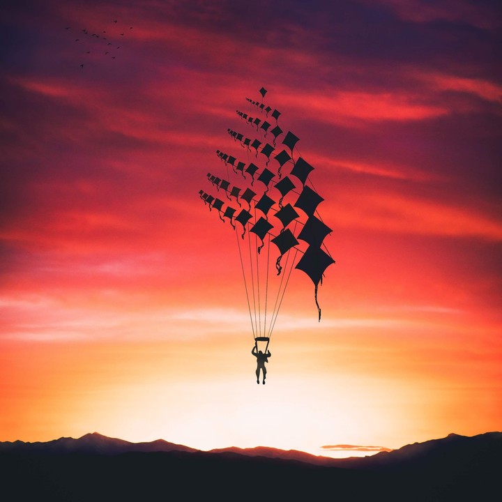 kite fly