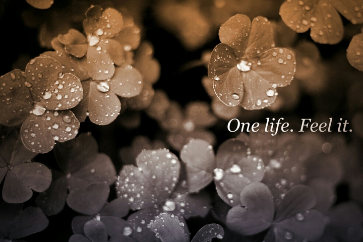 #LIVE IT