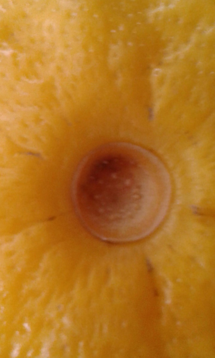 it's lemon