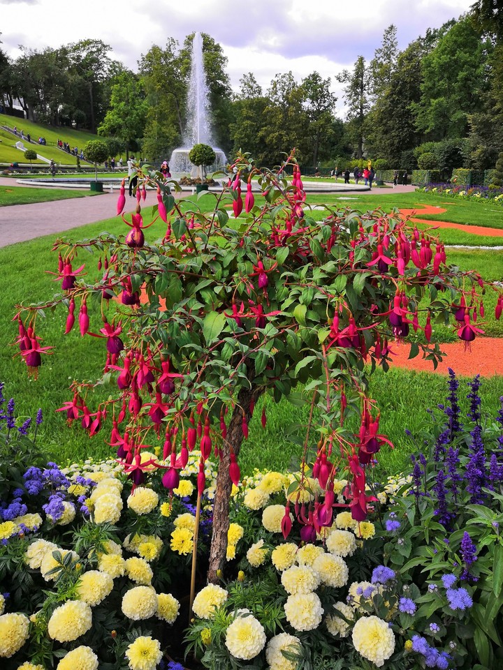 peterhof