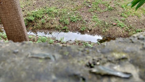 Channel of Rainy Water!
