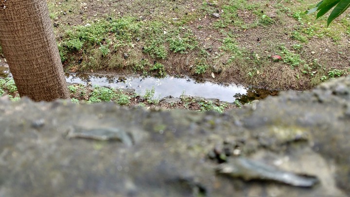 Channel of Rainy Water!