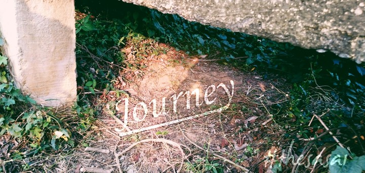 Journey