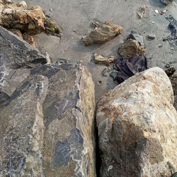 beach stone
