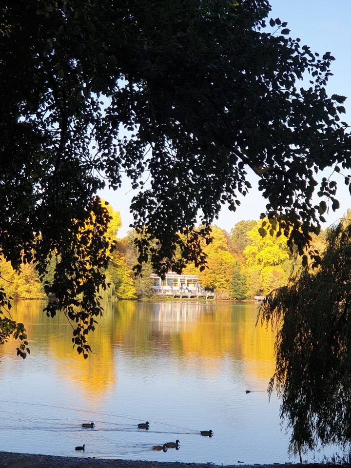 Herbst