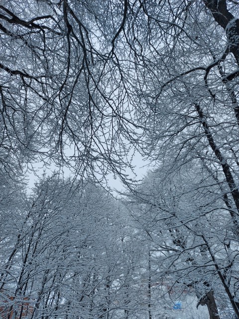 Snow