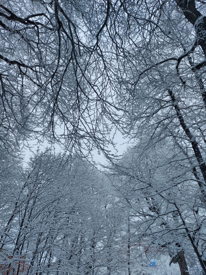 Snow