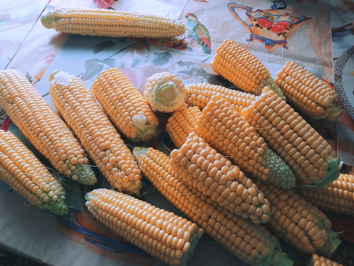Some corn