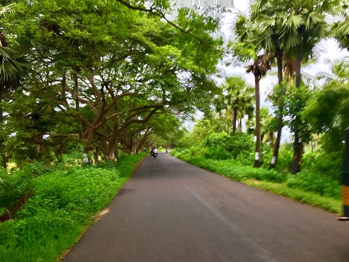 nature