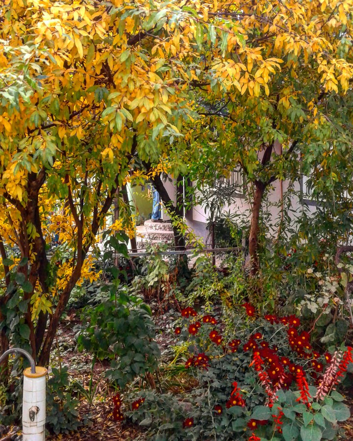 Autumn