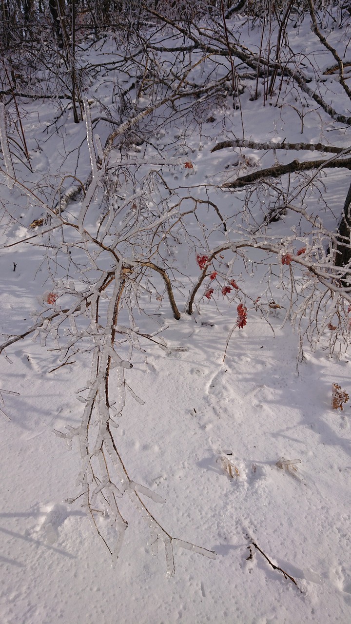 зима