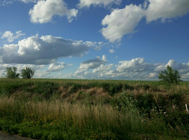 Summer's sky