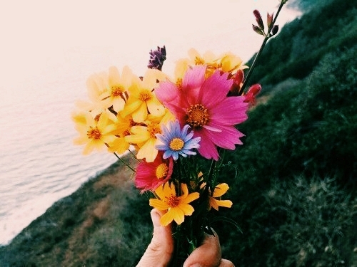 flowers