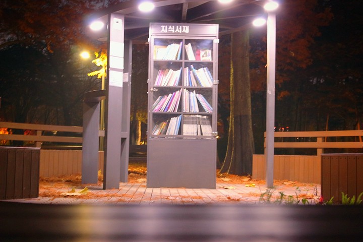 지식의 숲