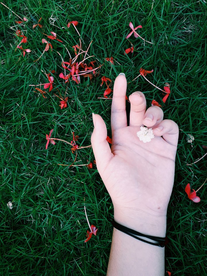 Hand And Flowers