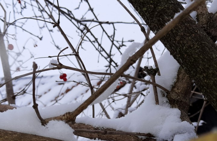 My Winter