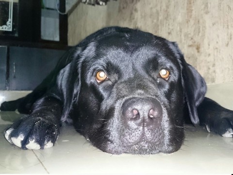 My Jacky <3....