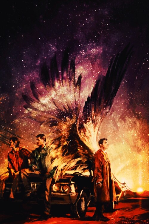 Team Free Will