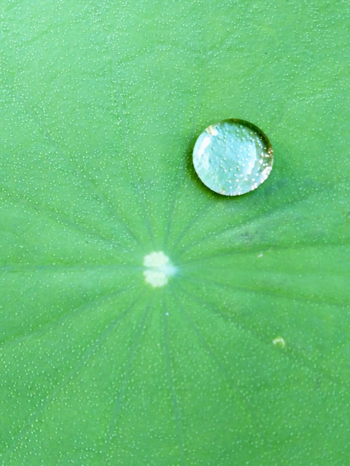 water droplets
