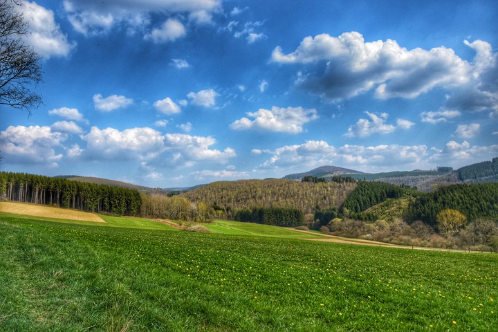 nature